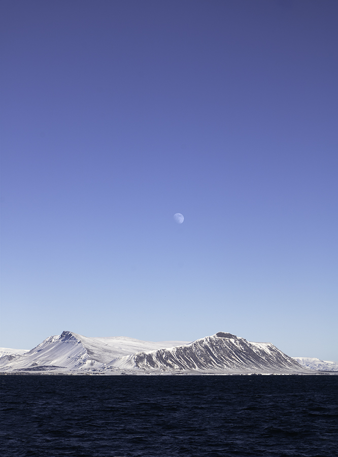 Moonshining Daylight (Reykjavik – Island, 03/2020)